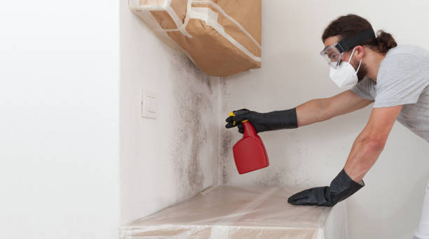 Professional Mold Cleanup technician working in Clarksboro, NJ